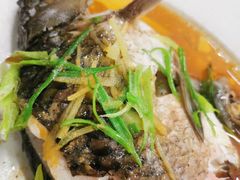 清蒸白侧鱼-顺发饭店