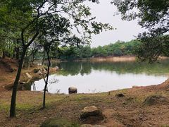 -南京市无想山景区