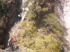 -北京上方山国家森林公园