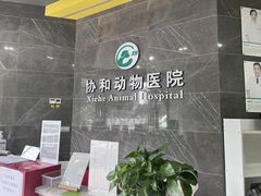 -瑞鹏瑞爱宠物医院·全科·猫科·血液透析中心(龙头寺店)