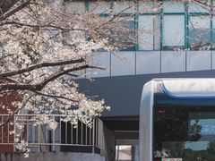 -上海南浦大桥长途旅游客运站