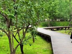 -东郊湿地公园