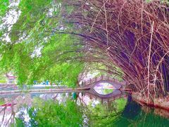 -成都市活水公园