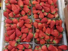 -华联商厦(火车站店)