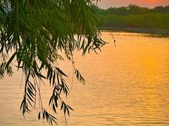 -济南大明湖景区