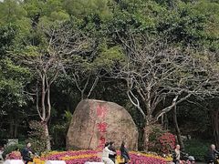 -野狸岛