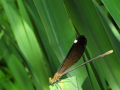 -白水寺森林公园