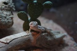 点击看大图 -酷嗒动物文化乐园(cutezoo西溪乐天城店)