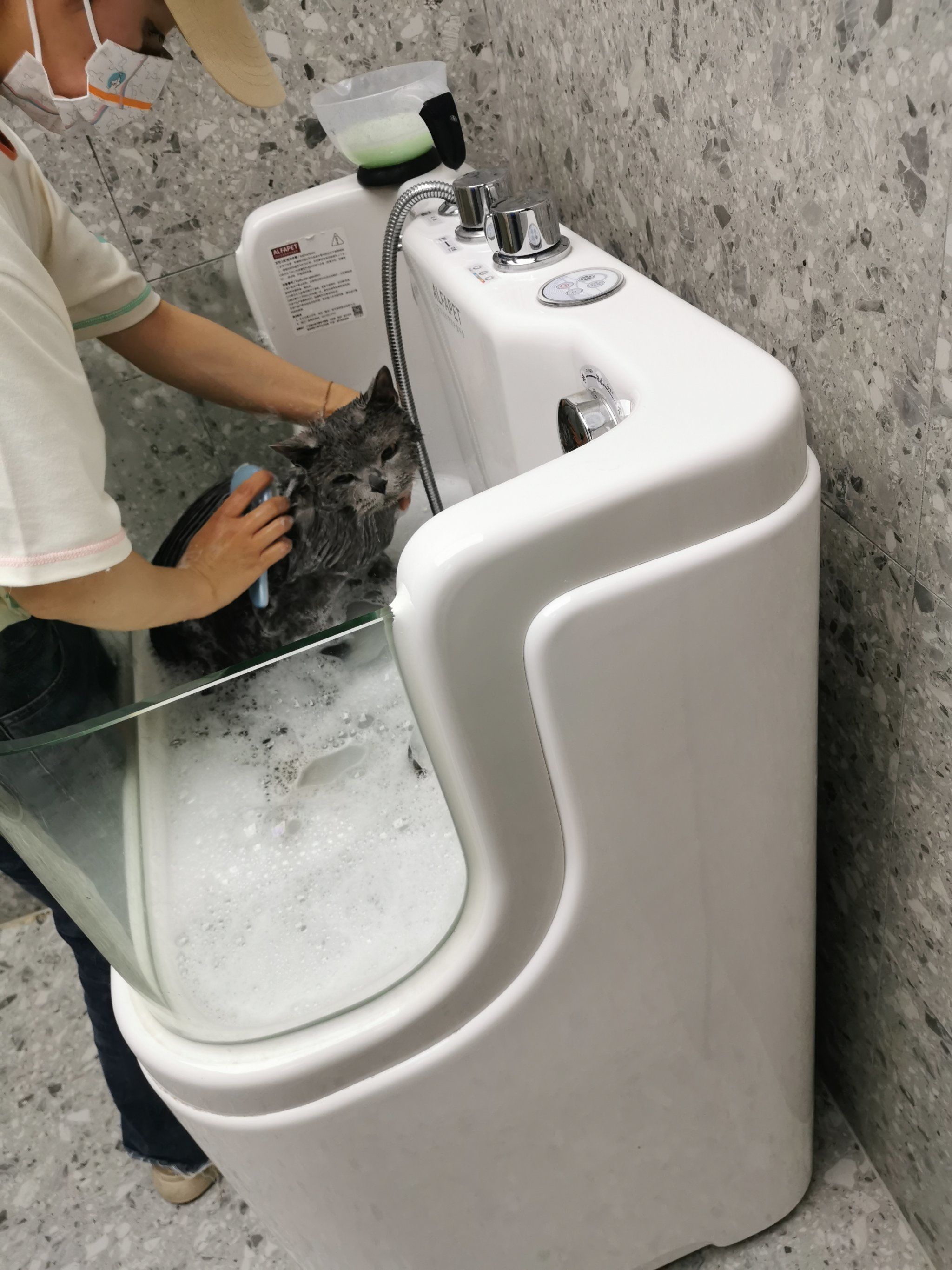 宠物洗澡