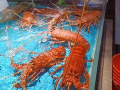 -徐记海鲜(大雁塔|金都店)