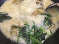 -岩泊渡桂鱼楼活鱼馆
