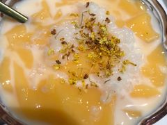 -靓蛙馆