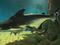 -秦皇岛新澳海底世界