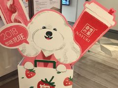 -奈雪的茶(市百一店)