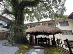 -普陀山雷迪森庄园
