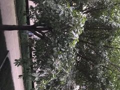 -成都中医药大学(温江校区)