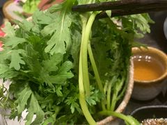 茼蒿-新草堂锅物料理(泉城路店)