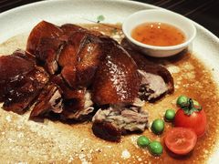 -桃花源中餐厅(金茂豪华精选酒店)