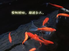 -北平小院设计酒店