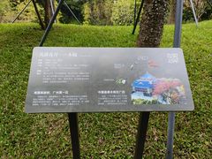 -云溪植物园