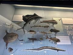 -浙江自然博物院(杭州馆)