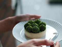抹茶挞-猫里有甜
