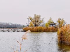 -野鸭湖国家湿地公园