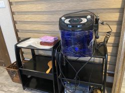 -青青一生美皮肤管理