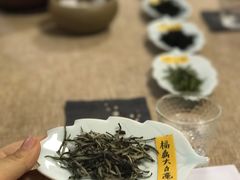 -养心斋涵信茶艺茶道培训
