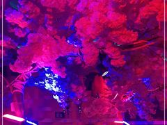 -巴特餐饮6加1音乐餐吧·新疆菜