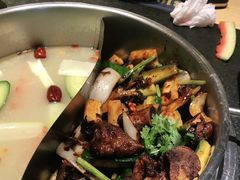 -蓉客成都火锅·招牌麻辣牛杂·特色香辣蹄花(凌水店)