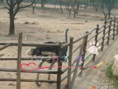 -西安秦岭野生动物园