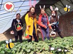 iphone_upload_pic-包头市畅兴现代农业园