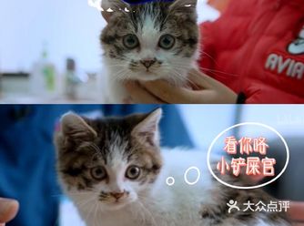 养，就要负责！这是人生中美好的羁绊。