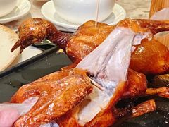 -羽鸽集·乳鸽专门店·地道顺德菜(岭南站店)