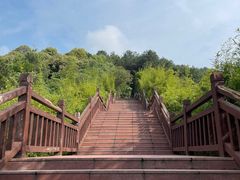 -铁山坪森林公园