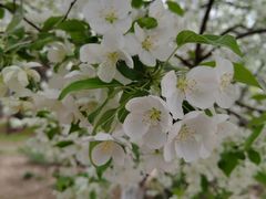 -元大都城垣遗址公园