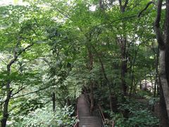-龙道沟景区