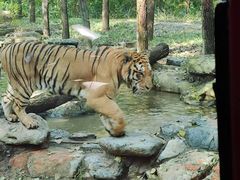 -北京野生动物园