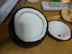 -志龙皇冠吃货椰子铺