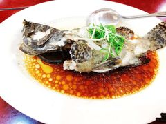 -新金盛·海鲜酒楼(盐田店)