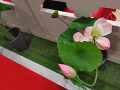 -芦月轩羊蝎子(太平桥店)