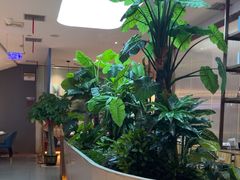-悦海·家宴·冰花皮皮虾大锅贴(宝龙店)