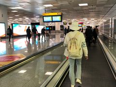 -郑州新郑国际机场-T2航站楼