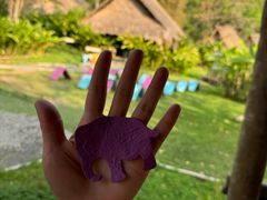 -大象粑粑造纸公园