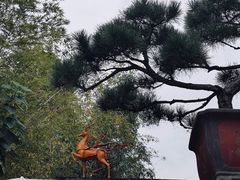 -龙华寺