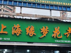 -曲阳花鸟市场(曲阳路店)