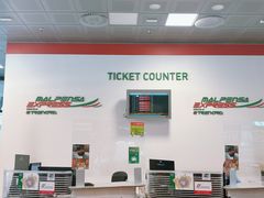 -米兰马尔彭萨国际机场