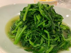 -沸腾鱼乡(知春路分店)