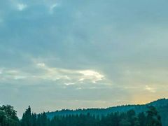 -武陵山森林公园